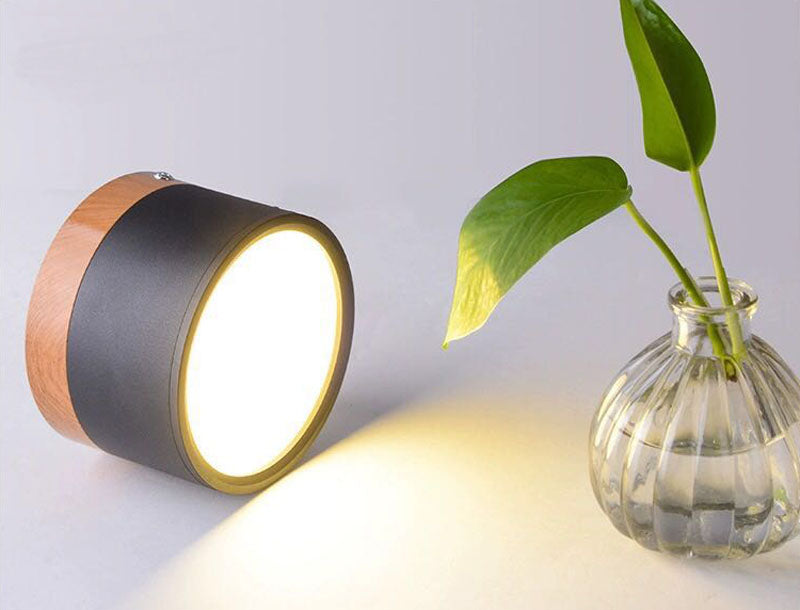 LumaNova Ceiling Light | LED Downlight for Living Room