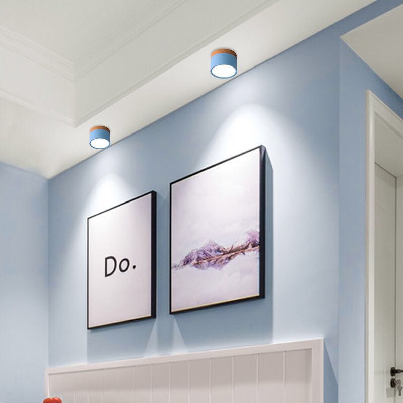 LumaNova Ceiling Light | LED Downlight for Living Room