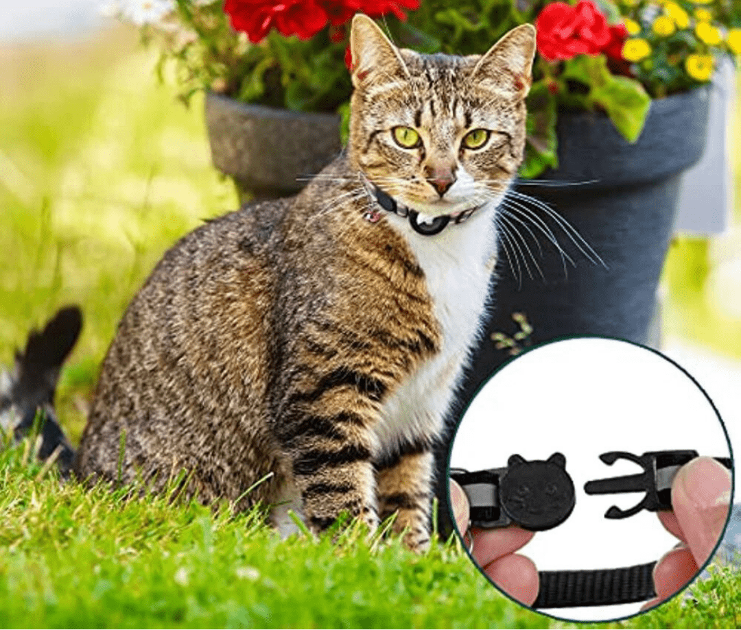 LumaGuard GPS-kattesele med reflekterende design for trygge utekatter