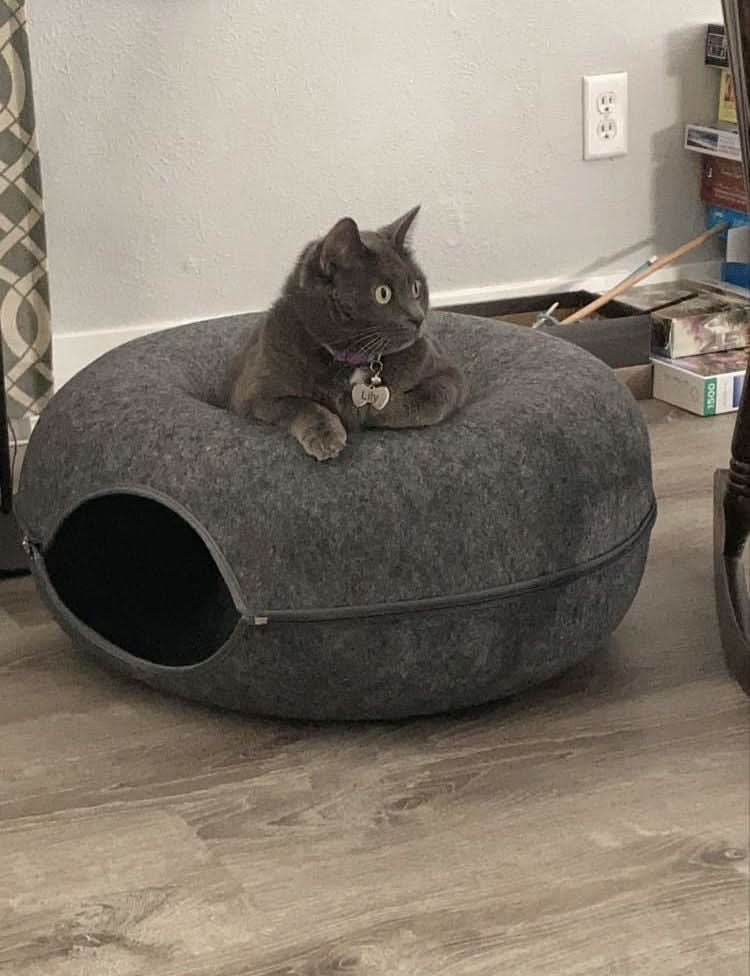 Whisker Haven Deluxe katte tunnel med hyggelig sovehule til indekatte