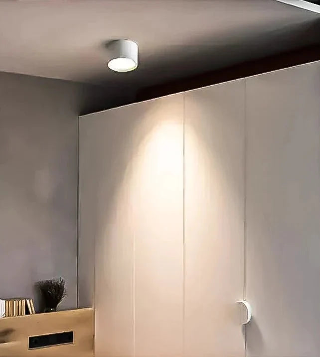12-Zoll Zylindrische Deckenleuchte mit Mattfinish
