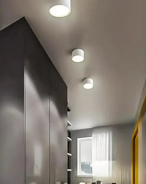 Lumină de tavan cilindrică de 12 inci cu finisaj mat