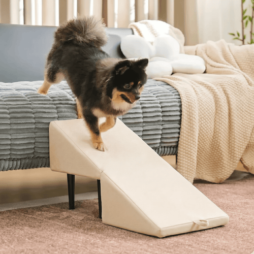 Rampa y taburete convertible 2 en 1 para mascotas, para acceder al sofá o la cama | compagnien
