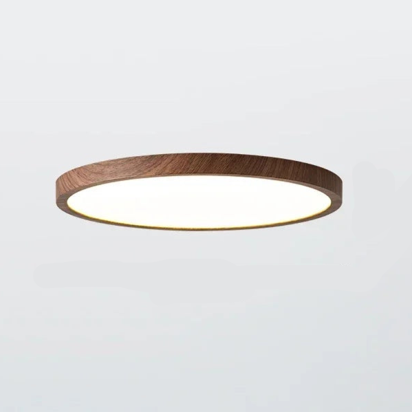 Aeris Minimalist Ceiling Light for Home | Orntli