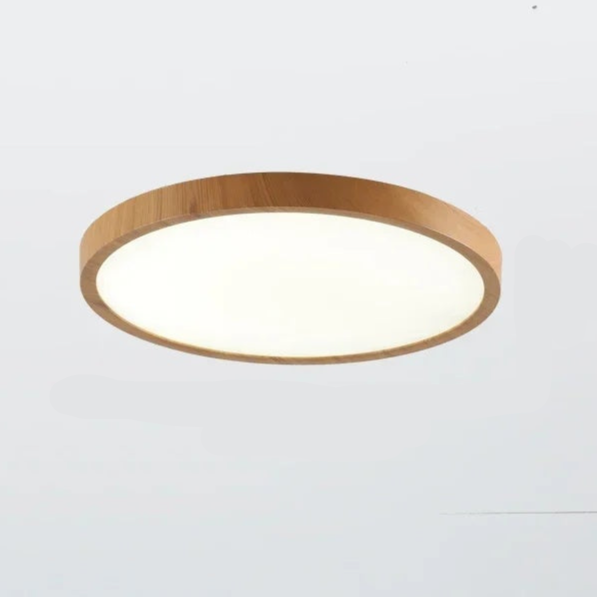 Aeris Minimalist Ceiling Light for Home | Orntli