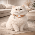 Collare riflettente PurrGuard per gatti con supporto AirTag e campanellino