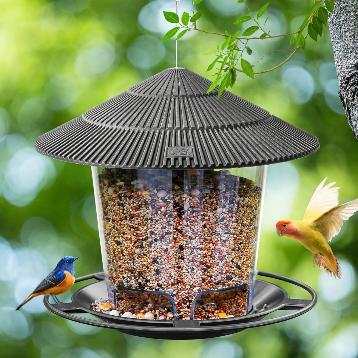 FeatherFlow Automatic Bird Feeder With Multi Hole Nut Dispenser For Backyards