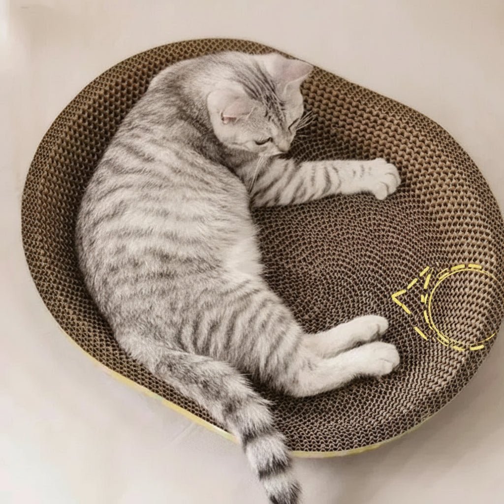 Whisker Haven katteklorebrett koselig oval papp-lounger