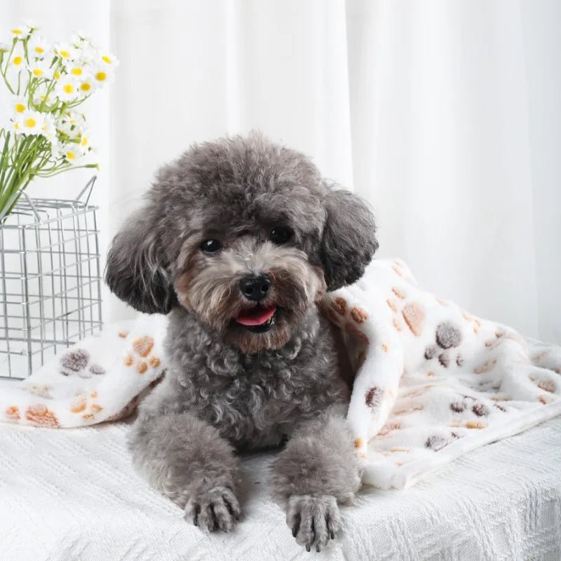 PawEase Plush Flannel Pet Blanket For Dogs And Cats, Cozy Easy Care