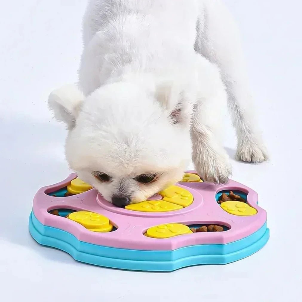 PawsPath Lassú Etető Puzzle Minden Kisállat Mérethez, Csúszásmentes Felület, Gondolkodtató Játék