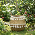 Evergreen Bamboo Basket Handmade Foldable Storage for Home Plant Lovers