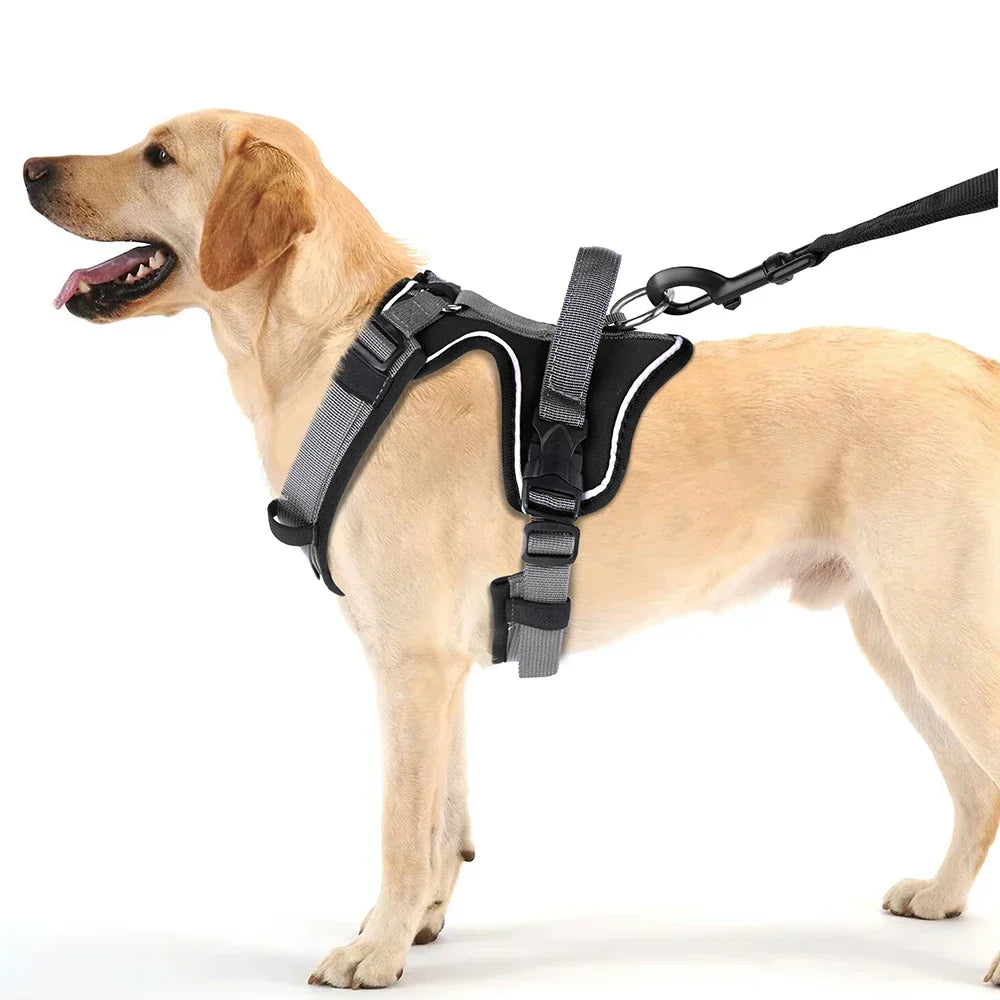 Kavaro | Harnais Agile pour Chien avec Bordure Réfléchissante et Poignée Robuste | Orntli