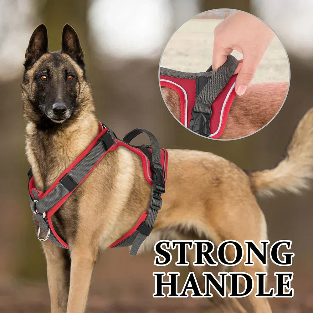 Kavaro | Harnais Agile pour Chien avec Bordure Réfléchissante et Poignée Robuste | Orntli
