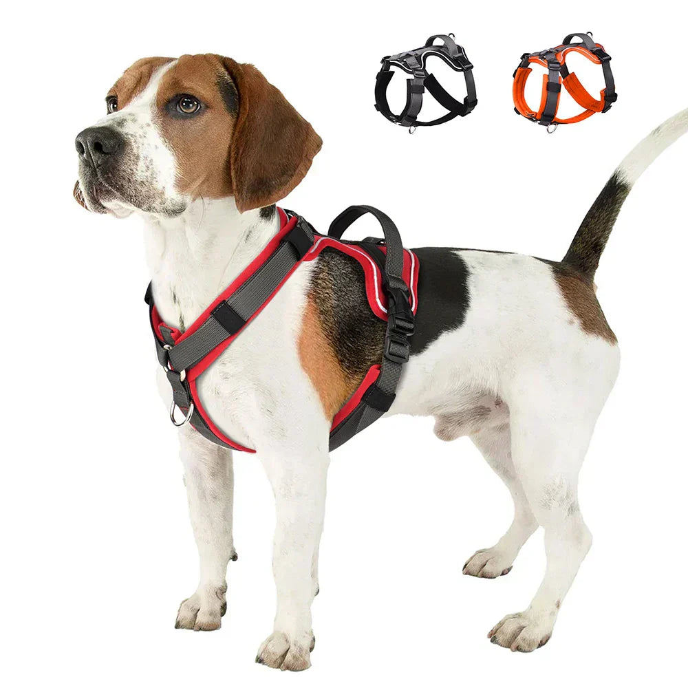 Kavaro | Harnais Agile pour Chien avec Bordure Réfléchissante et Poignée Robuste | Orntli