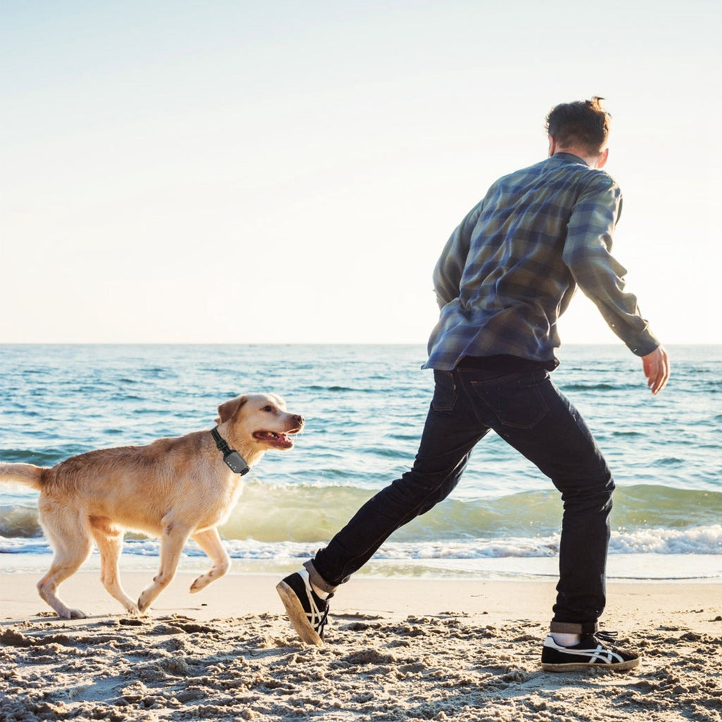 Sistema di Recinzione Wireless per Cani Pawfey GPS Pro – Proteggi la Libertà del Tuo Cane