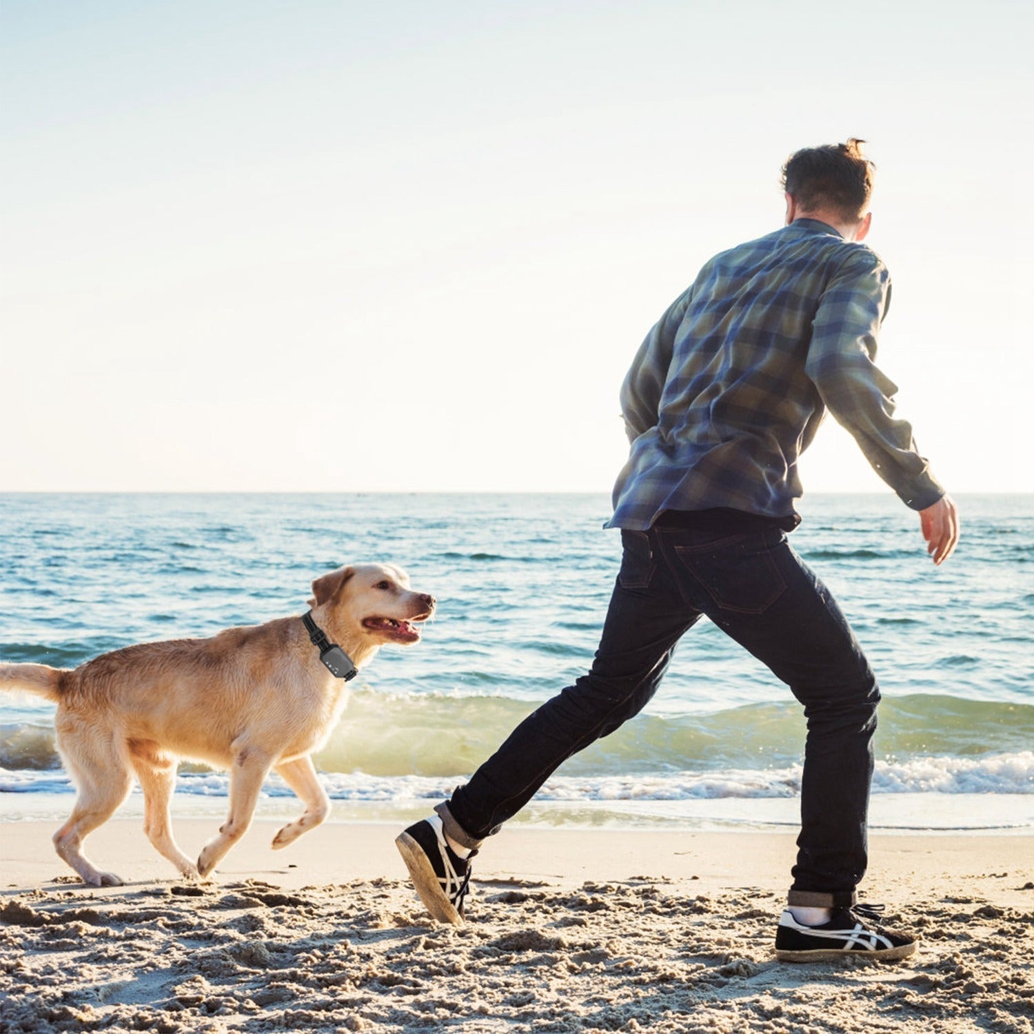 Sistema di Recinzione Wireless per Cani Pawfey GPS Pro – Proteggi la Libertà del Tuo Cane