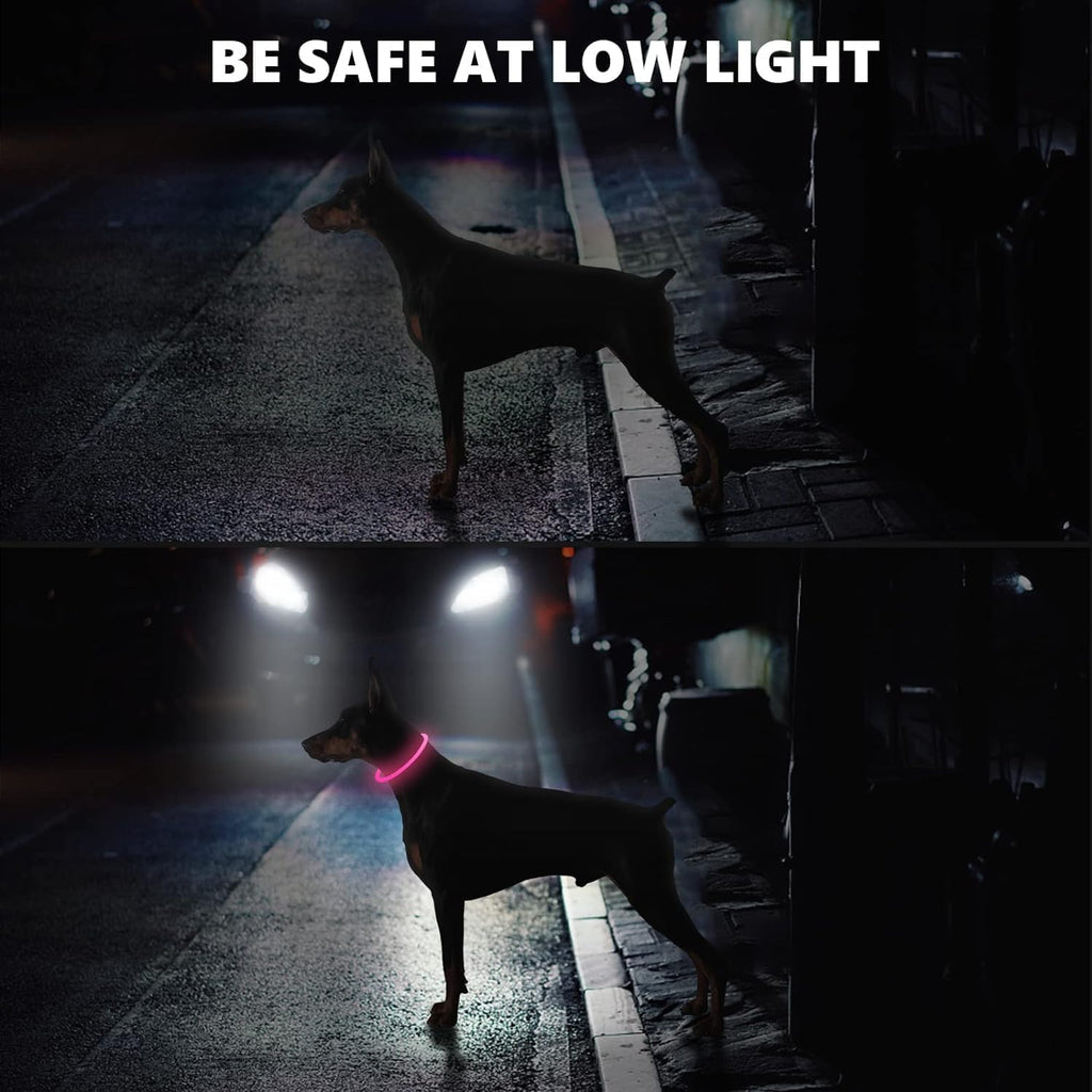 LED Dog Collar, Dog Collars, Rechargeable Shiny Night Walking