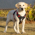 Kerrin | Reflective No-Pull Harness for Secure, Comfortable Dog Walks | Orntli