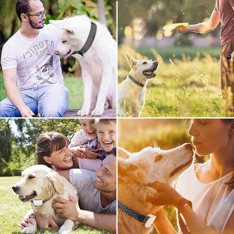 KiroPet Rechargeable Waterproof Touchscreen Bark Control Dog Collar | Orntli