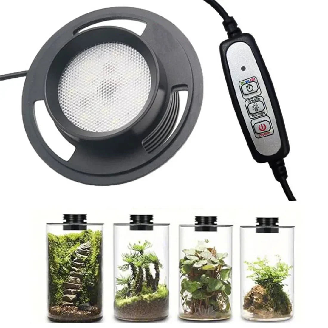 Lampada per piante GROWLUX a spettro completo con timer per una crescita sana