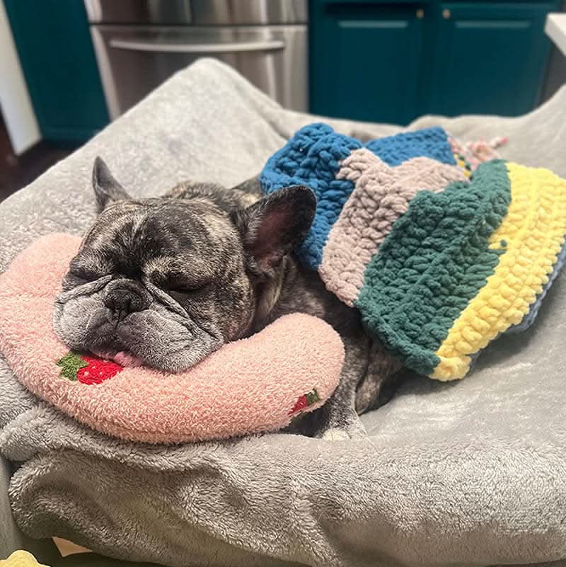 Cuscino Ortopedico di Lusso CalmNest per Cani, Aiuta a Ridurre lo Stress nei Cani Ansiosi