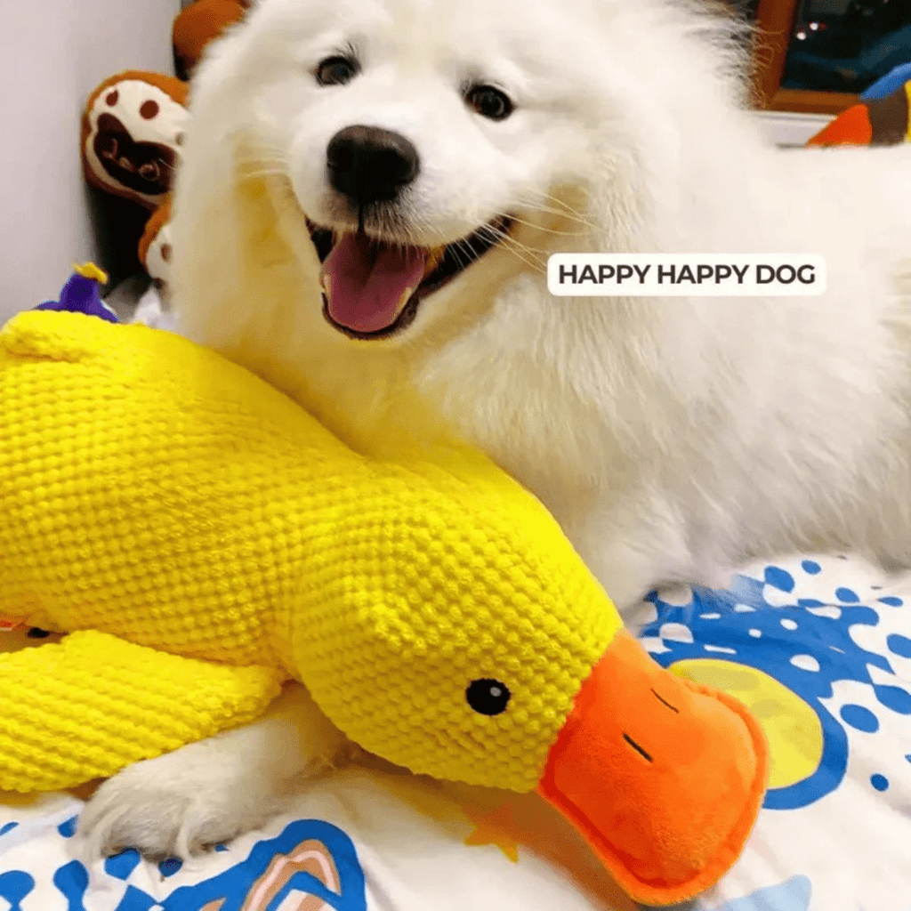 Pluszowa zabawka CuddleQuack dla psów, trwała, miękka, piszcząca kaczuszka, zapewniająca komfort