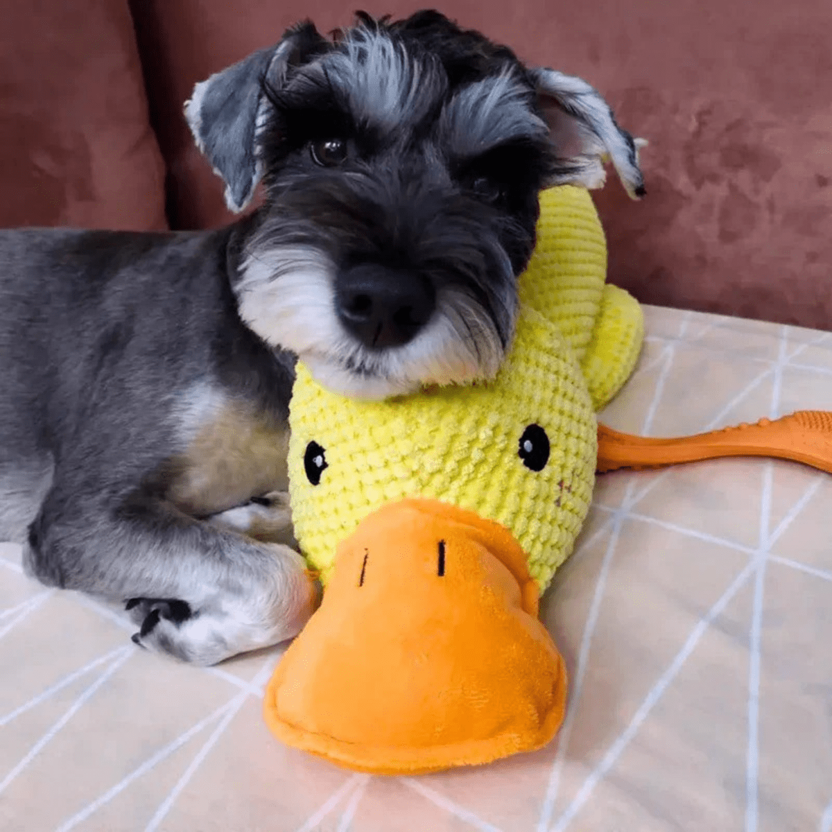 Pluszowa zabawka CuddleQuack dla psów, trwała, miękka, piszcząca kaczuszka, zapewniająca komfort