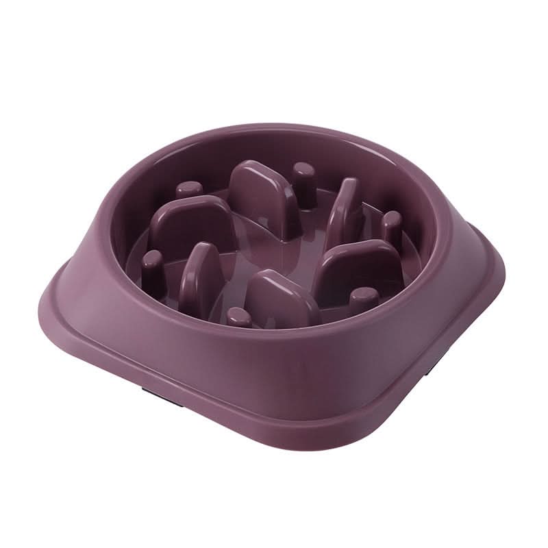 Nova Slowfeeder Hundeskål for Sunn Spising med Anti-Svelgedesign