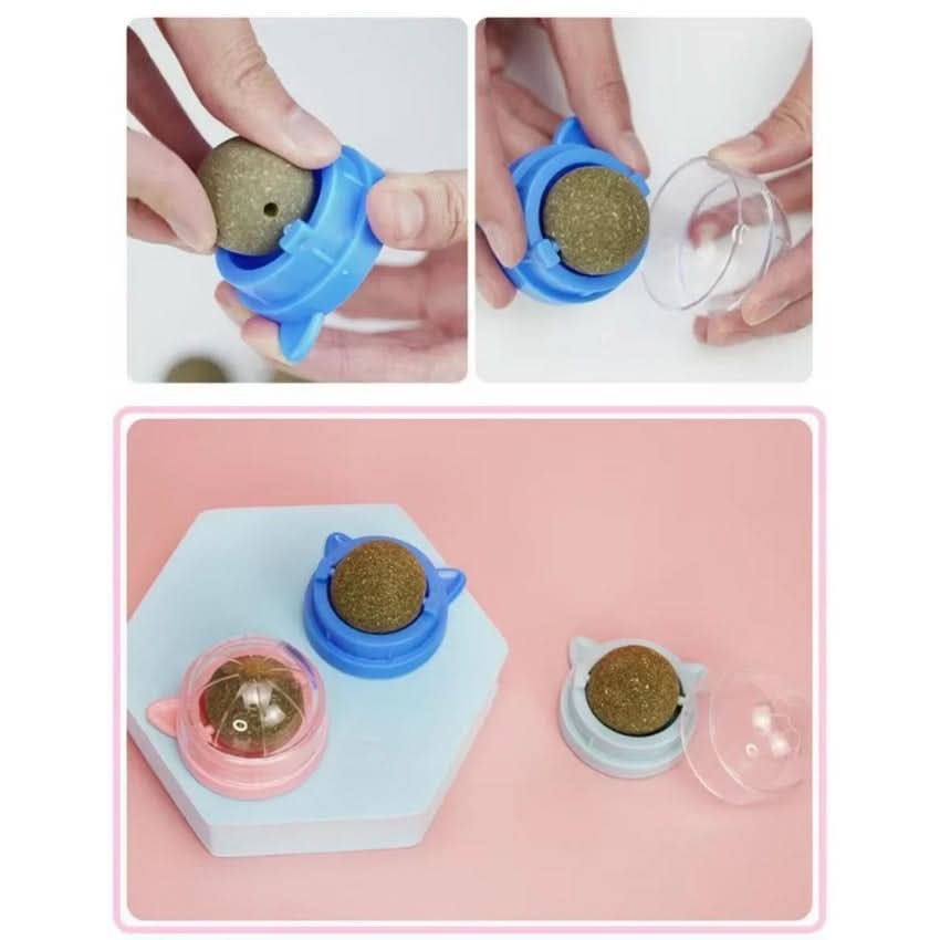WhiskerNova Catnip Toy For Cats Dental Care And Playtime