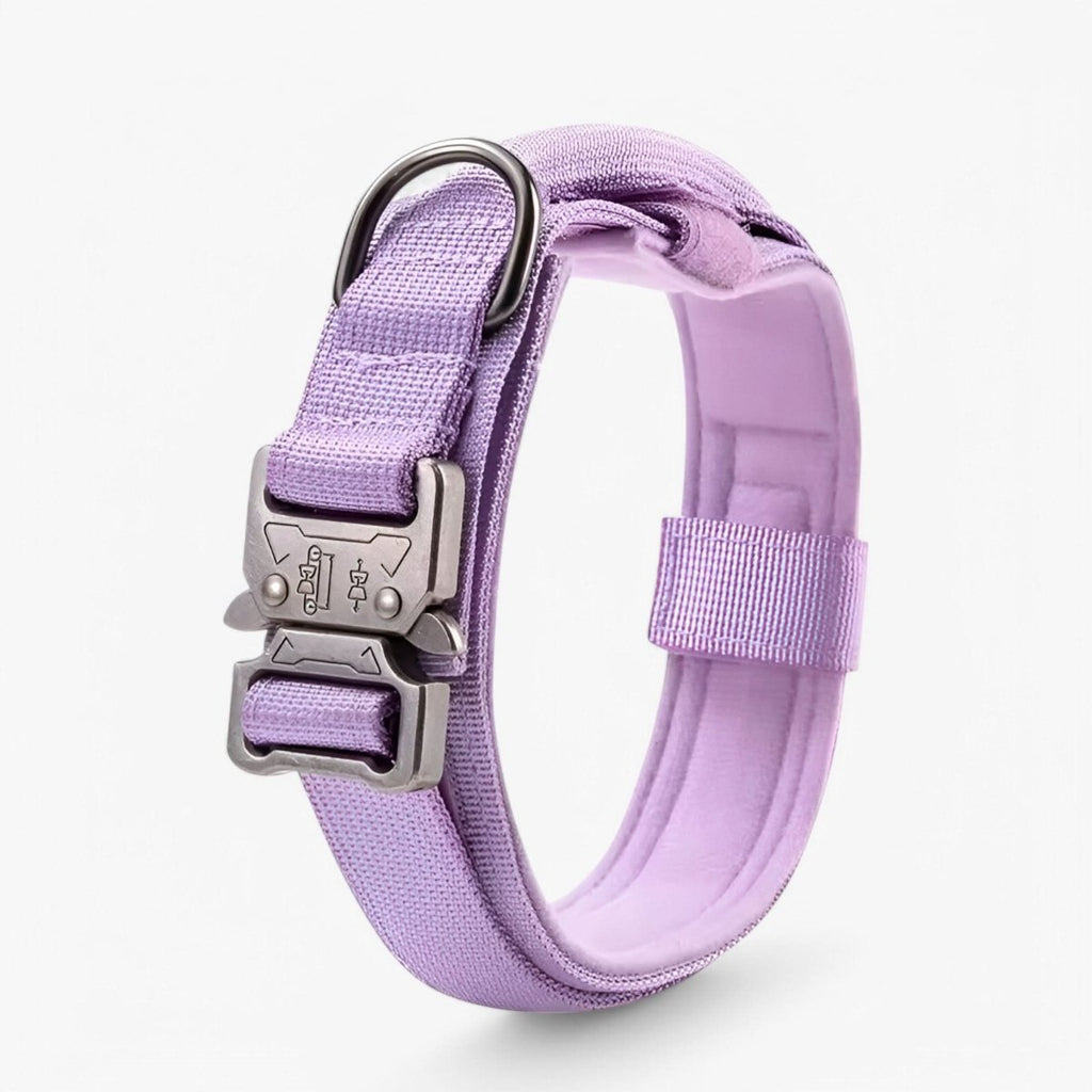 StealthPaw Hondenhalsband Set Duurzaam en Verstelbaar voor Training en Dagelijks Gebruik