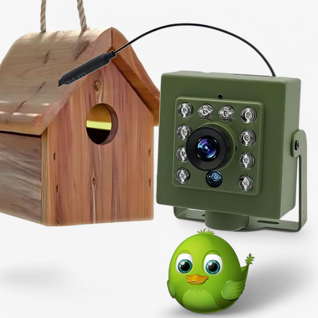 FeatherView Vogelobservatiecamera 1080p HD WiFi Weerbestendig Voor Vogelspotters in de Achtertuin
