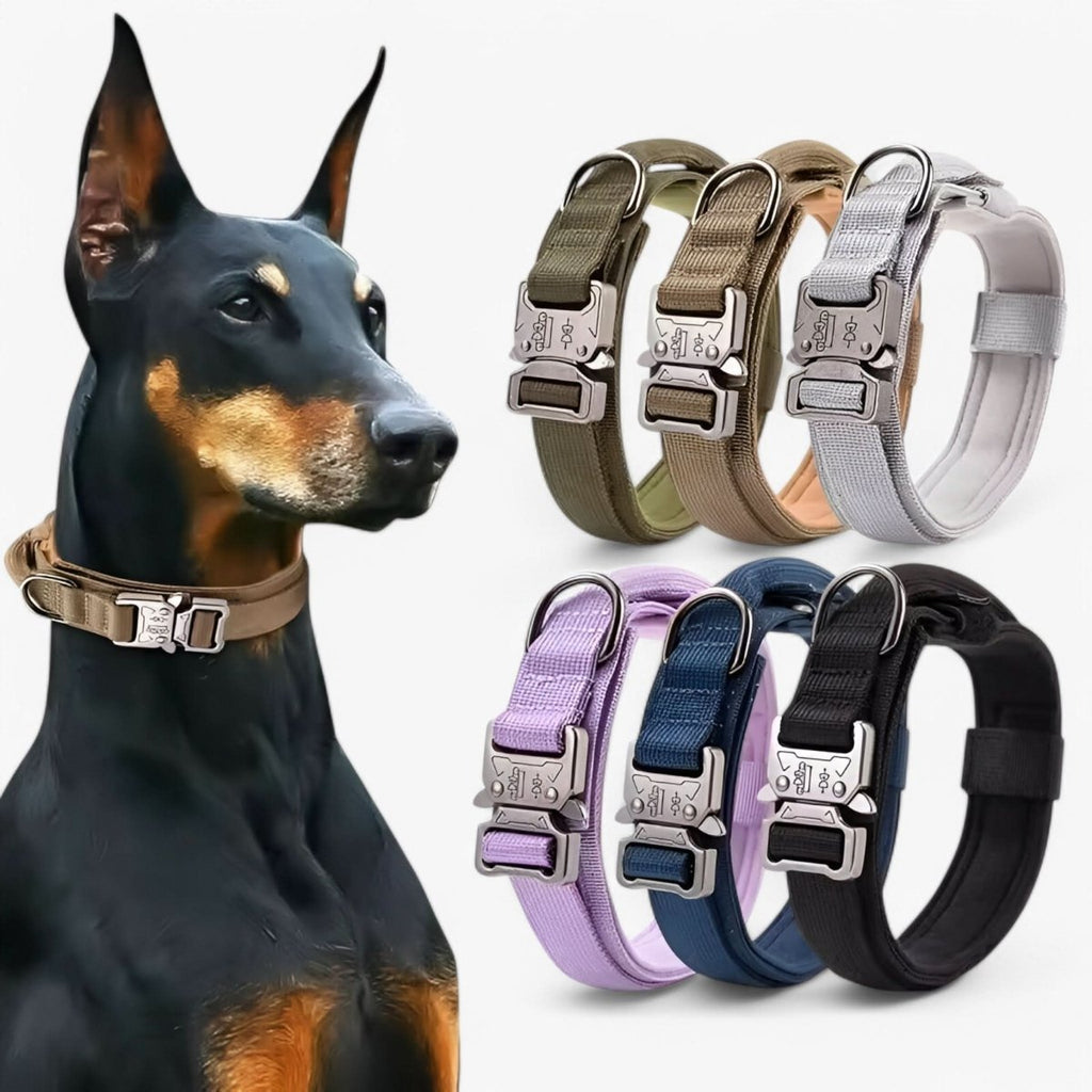 StealthPaw Hondenhalsband Set Duurzaam en Verstelbaar voor Training en Dagelijks Gebruik