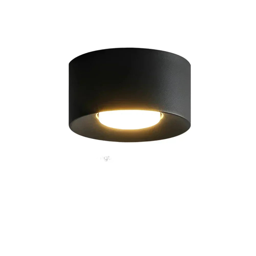 LyraNova Cylindrical LED Ceiling Light for Modern Interiors
