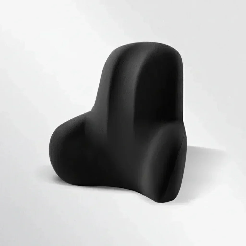 NovaRelief minneskum nakke- og korsryggstøtte for ergonomisk bil, kontor og reise