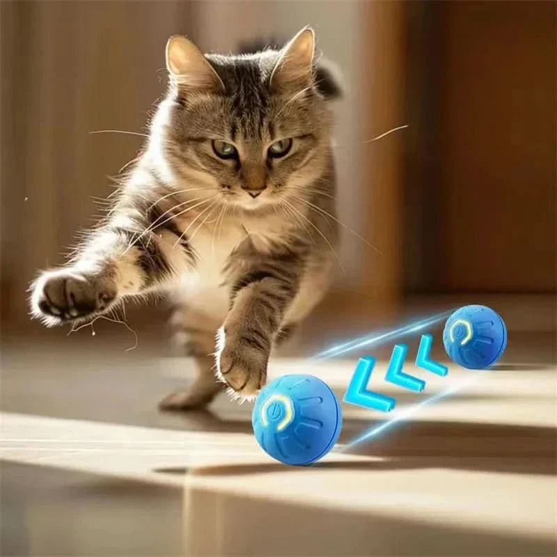 ActivePulse wiederaufladbarer interaktiver Hundeball für aktive Hunde mit automatischer Bewegung