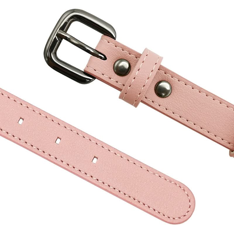 PawShield TrackTag kutyanyakörv beépített tartóval a biztonságért és stílusért