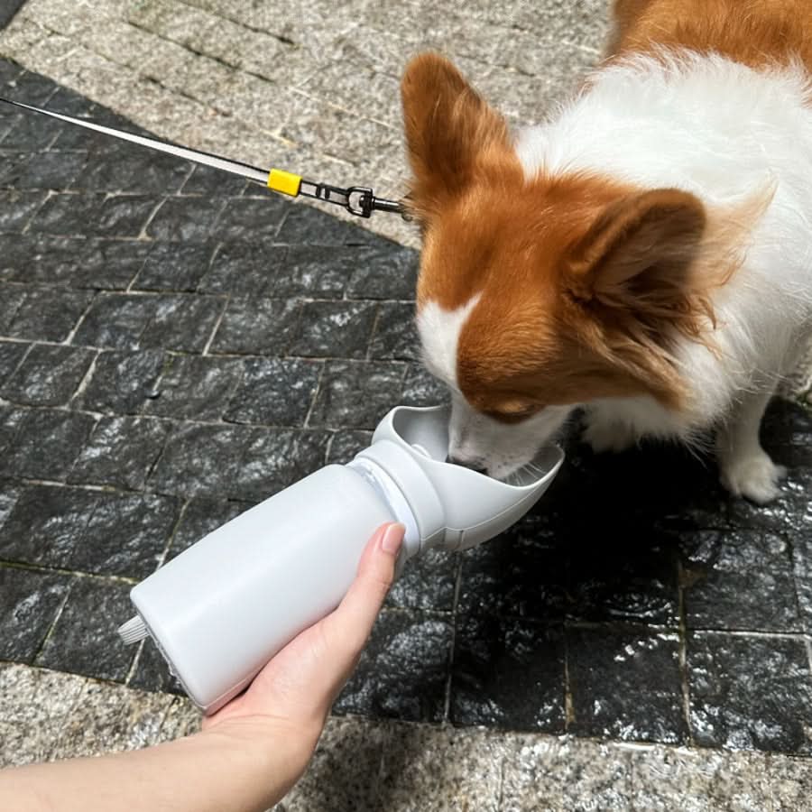 Skládací láhev na vodu pro domácí mazlíčky TrailMate s kapacitou 550 ml