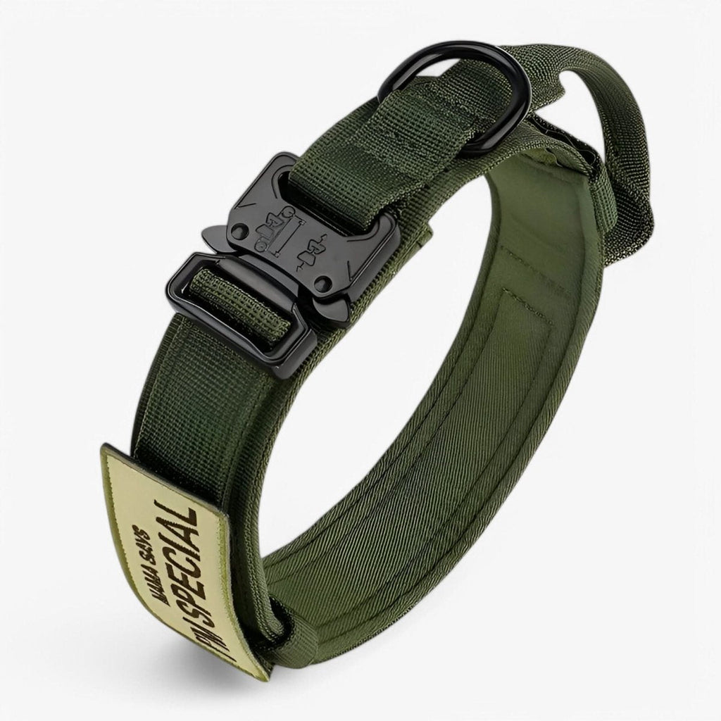 StealthPaw Hondenhalsband Set Duurzaam en Verstelbaar voor Training en Dagelijks Gebruik