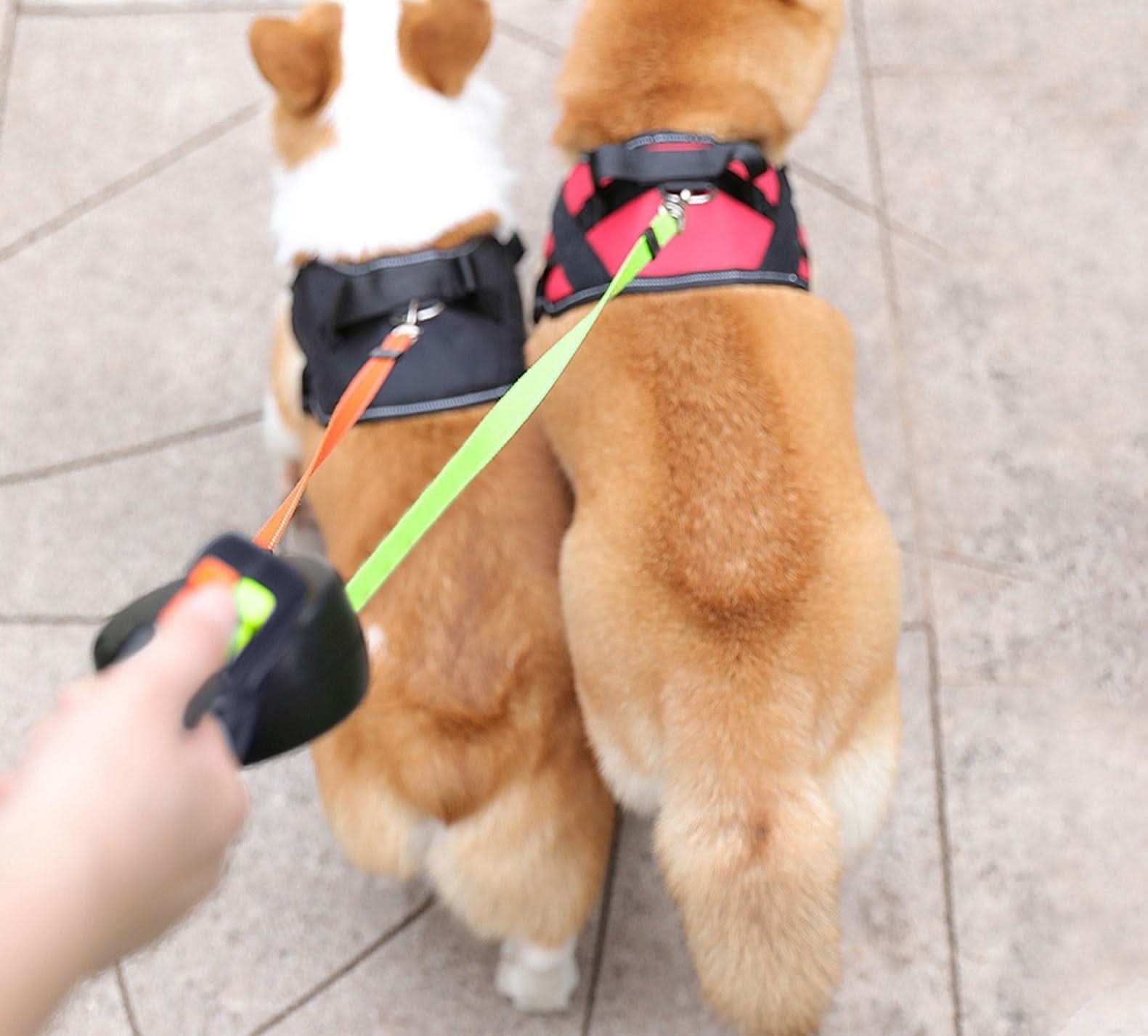 TrailMate Duo İki Köpekli Entegre Fenerli Geri Çekilebilir Tasma
