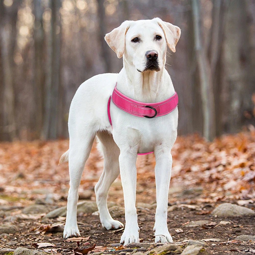 NovaGuard Reflective Adjustable No Pull Dog Harness With Handle For All Breeds