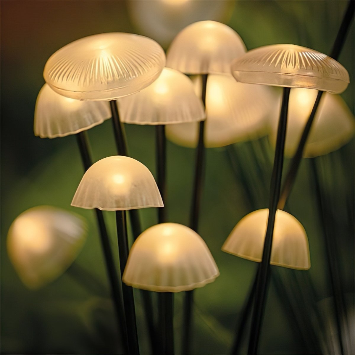 EverGlow Weatherproof 10 LED Mushroom Lights For Cozy Outdoor Gardens