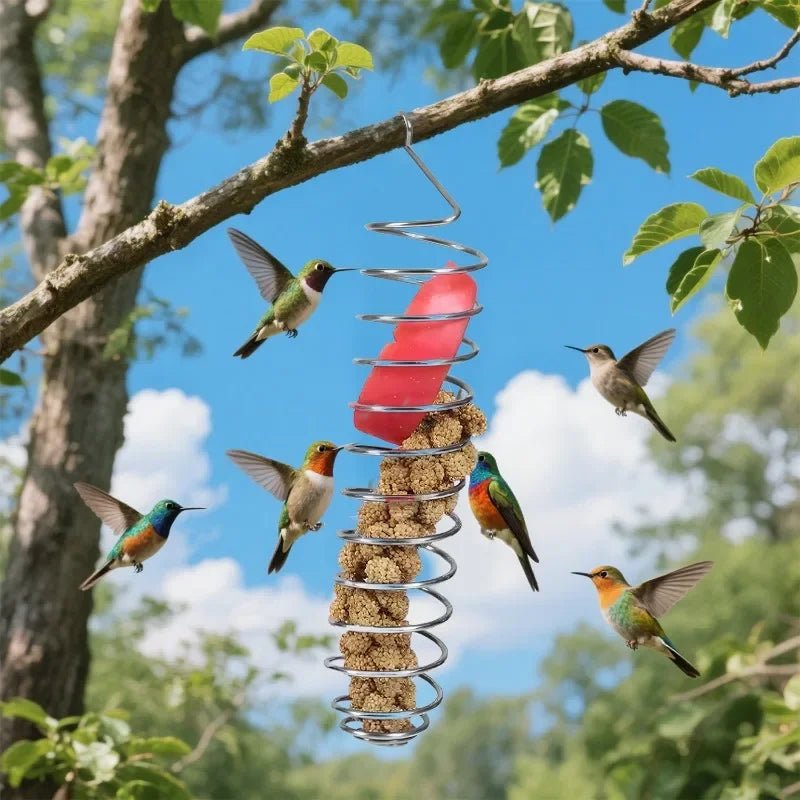AeroNest Stainless Steel Parrot Food Dispenser Durable And Hygienic