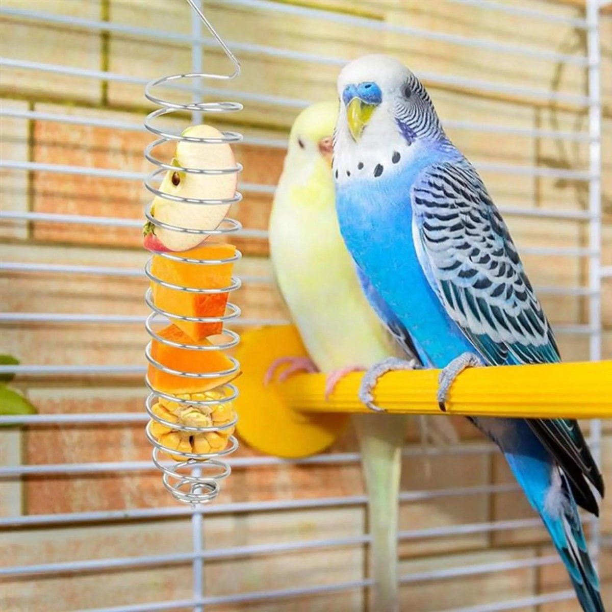 AeroNest Stainless Steel Parrot Food Dispenser Durable And Hygienic