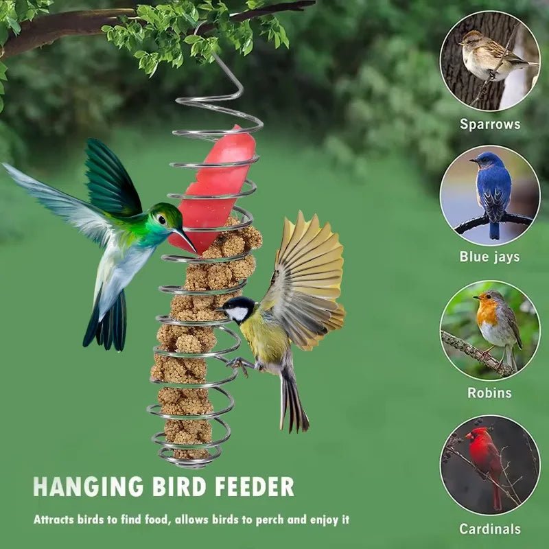 AeroNest Stainless Steel Parrot Food Dispenser Durable And Hygienic