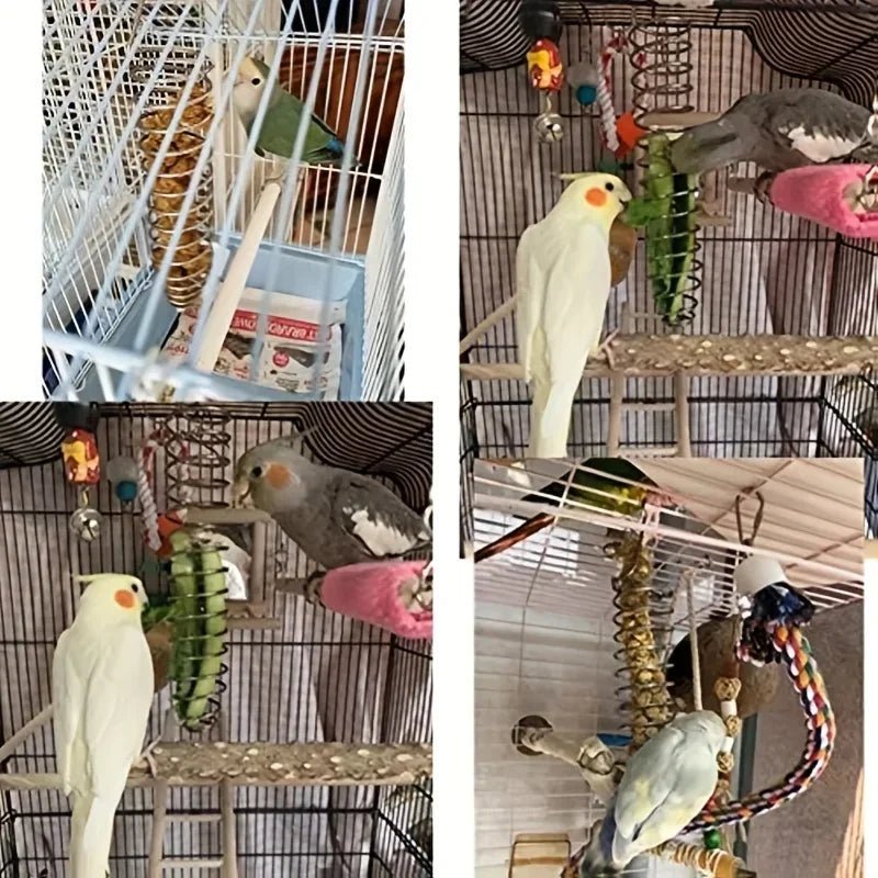 AeroNest Stainless Steel Parrot Food Dispenser Durable And Hygienic