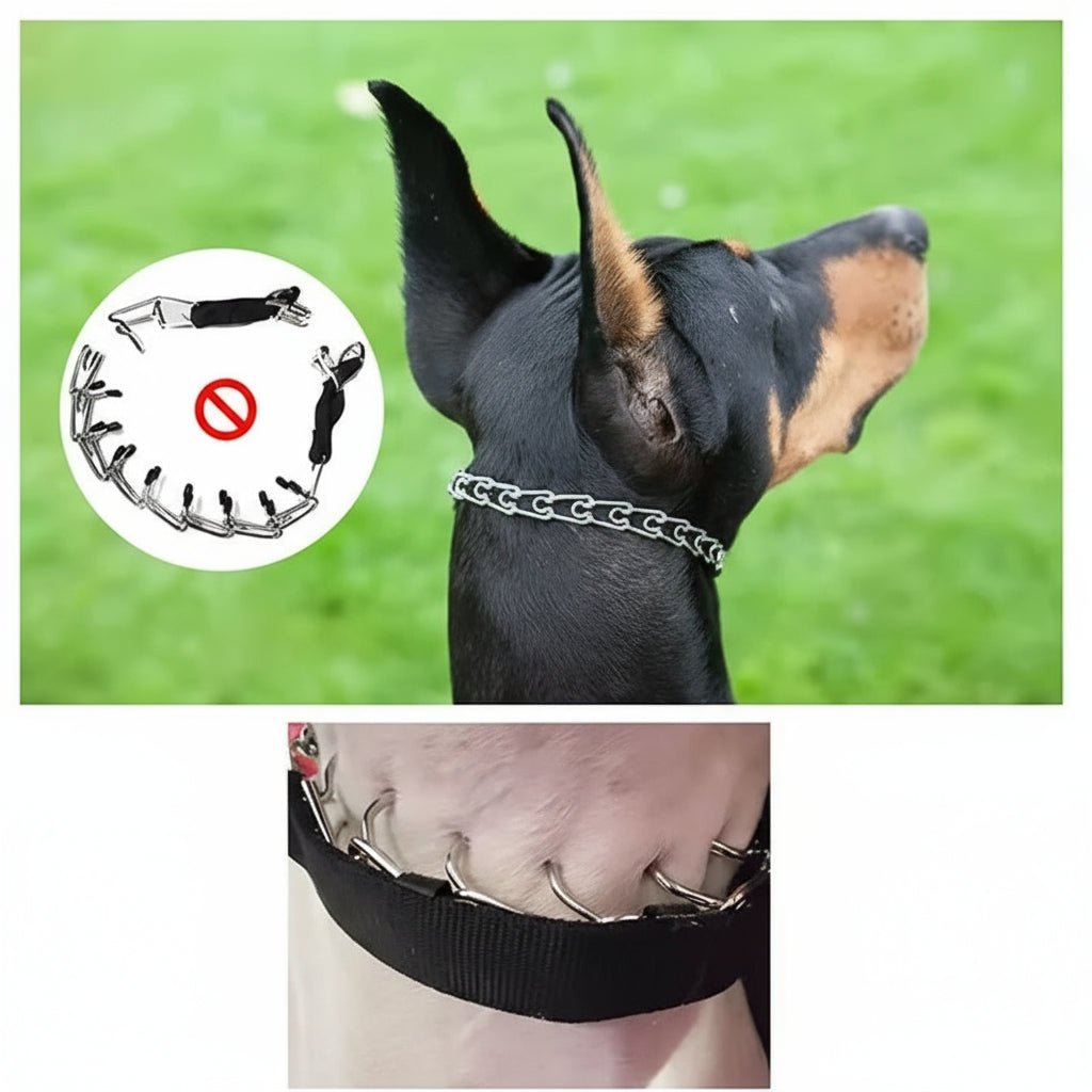 TrustPelt hundetreningshalsbånd med pigger og mykt nylontrekk for skånsom trening