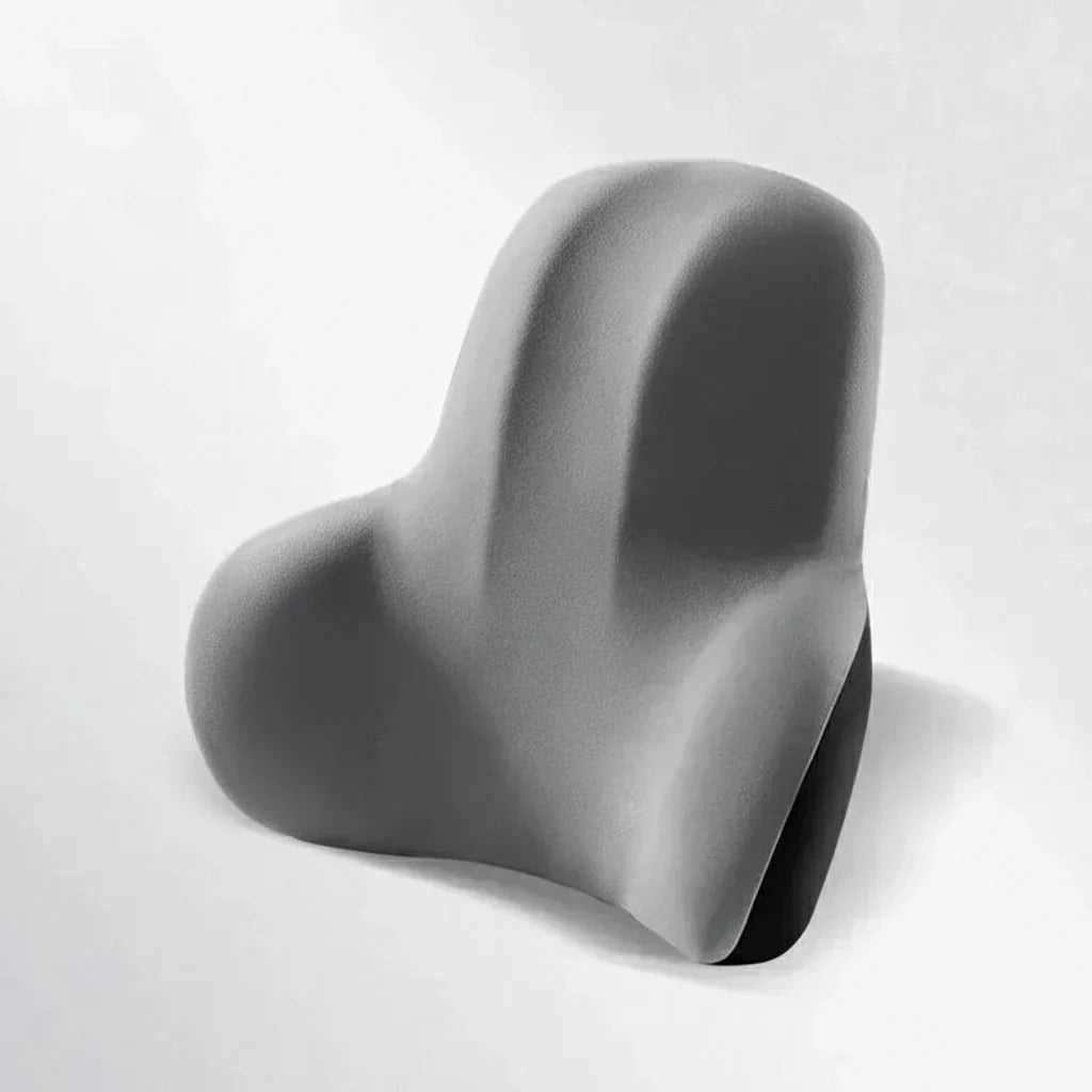 NovaRelief minneskum nakke- og korsryggstøtte for ergonomisk bil, kontor og reise