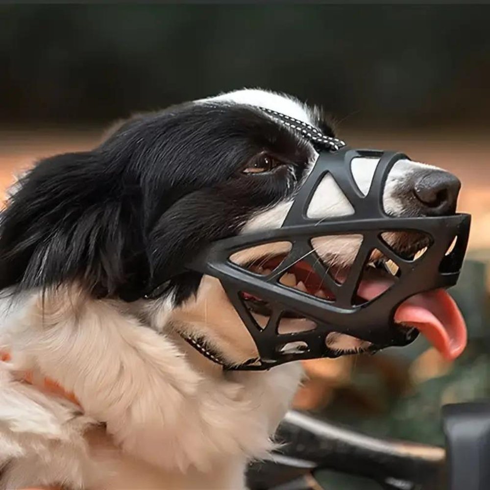 Focinho Suave KindPaws para Cão para Controlo Seguro Diário e Conforto Respirável