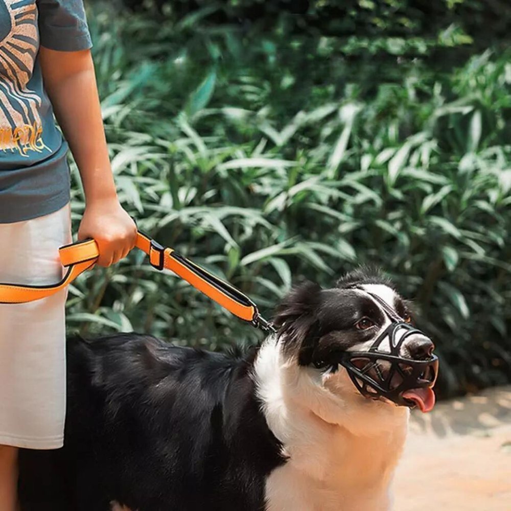 Focinho Suave KindPaws para Cão para Controlo Seguro Diário e Conforto Respirável