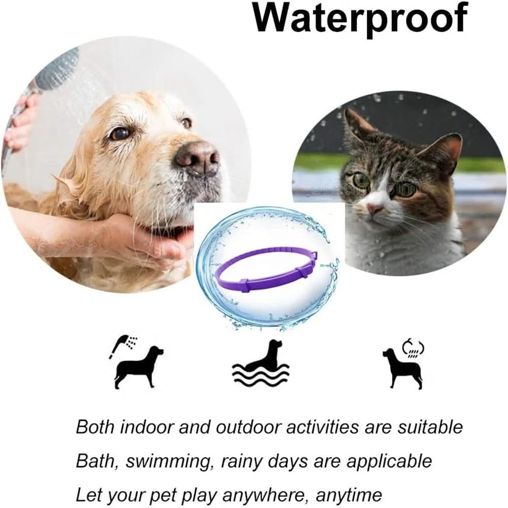 Ochranný obojek GuardPaws proti blechám a klíšťatům pro psy a kočky až na osm týdnů